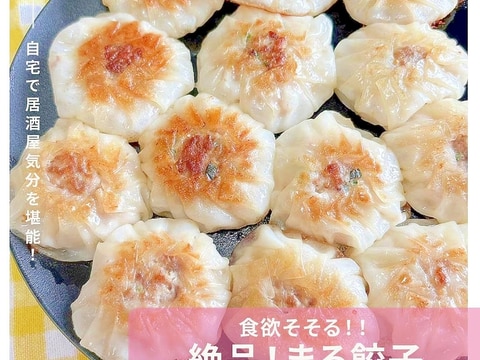 食欲そそる♪簡単まる餃子